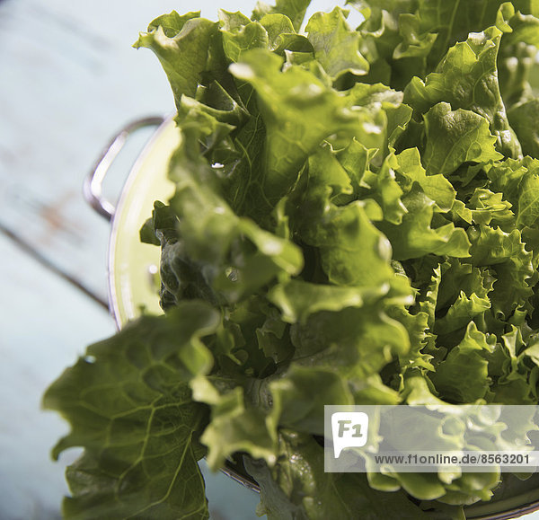 A tabletop with a bowl of salad leaves.