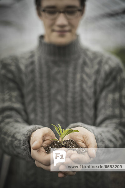 A person in a commercial glasshouse  holding a small plant seedling in his cupped hands.