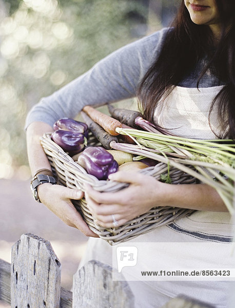 Eine junge Frau in einem Gemüsegarten  die einen Korb mit frisch geerntetem Bio-Gemüse  Paprika und einer Eierpflanze trägt.