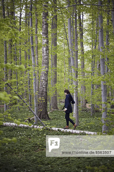 Eine Frau geht im Wald an einem umgefallenen Baumstamm entlang. Sie balanciert auf dem schmalen Stück Holz.