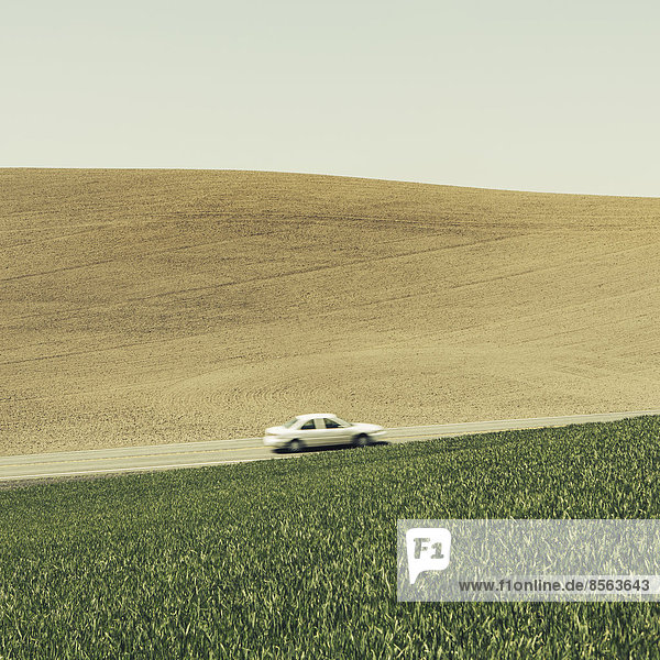 Ein Auto  das am Hang bergauf fährt  umgeben von Ackerland und üppigen  grünen Weizenfeldern  in der Nähe von Pullman  Washington.