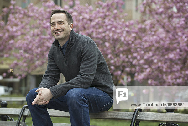 A man sitting on the back of a park bench  under the cherry blossom trees in the park.