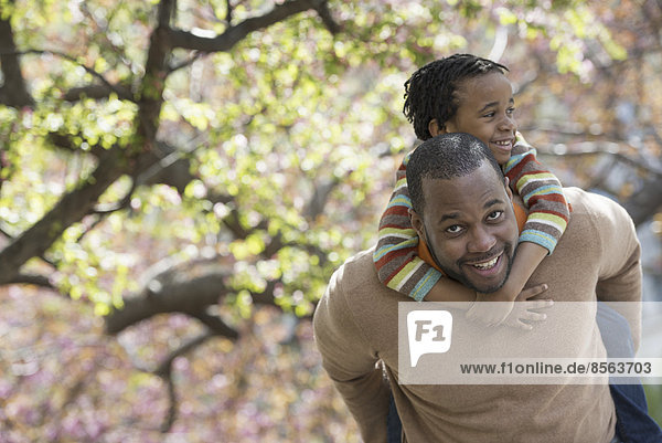 Ein New Yorker Stadtpark im Frühling. Sonnenschein und Kirschblüte. Ein Vater  der seinen Sohn auf den Schultern trägt.
