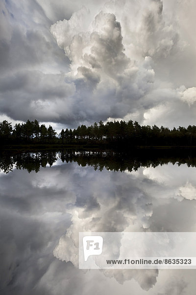 Näveretjärn See mit dramatischer Wolkenstimmung und Spiegelung  Nationalpark Tresticklan  Dalsland  Västra Götaland  Schweden