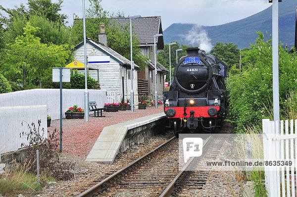 Der Jacobite Steam Train im Bahnhof von Glenfinnan  Ross  Skye and Lochaber  Highlands  Schottland  Großbritannien