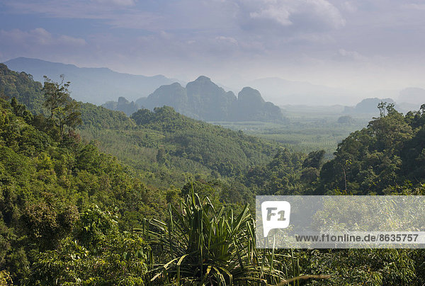 Berglandschaft  Nationalpark Khlong Sok  Ban Khao Ba  Phang Nga  Surat Thani  Thailand