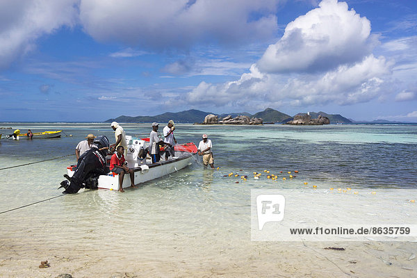 Fischer verladen ihren frisch gefangenen Fisch am Strand  Praslin  Seychellen