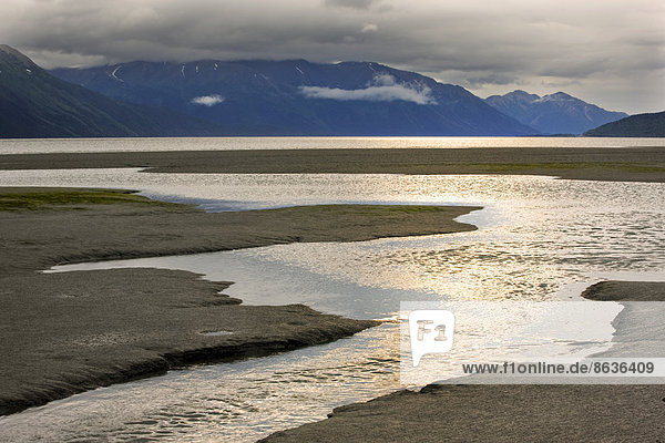 Placer River fließt in den Turnagain Arm  Portage  Chugach State Park  Alaska  USA