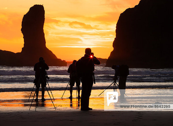 Photographers at sunset  Second Beach  Olympic National Park  Washington  USA