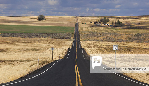 Eine gerade Landstraße durch Felder  die sich bei Palouse  Washington  in die Ferne erstreckt