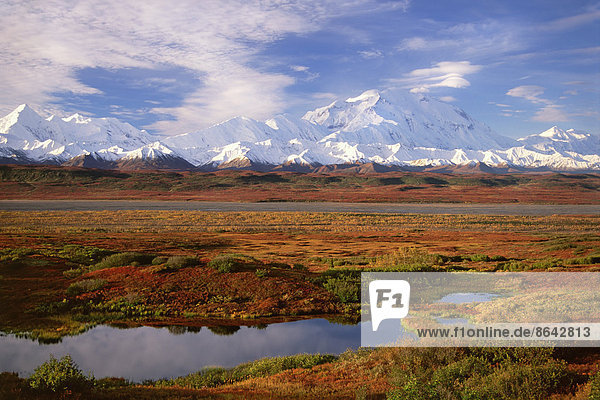 Tundra und Kesselteich im Denali-Nationalpark  Alaska im Herbst. Im Hintergrund der Mount McKinley.
