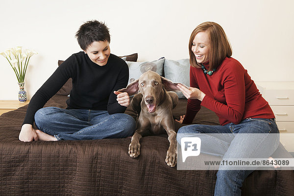 A same sex couple  two women posing with their weimeranar pedigree dog between them.