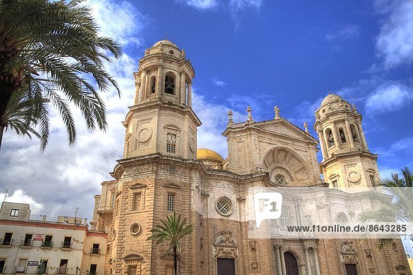 Catedral Nueva  Cadiz  Andalusien  Spanien  Europa