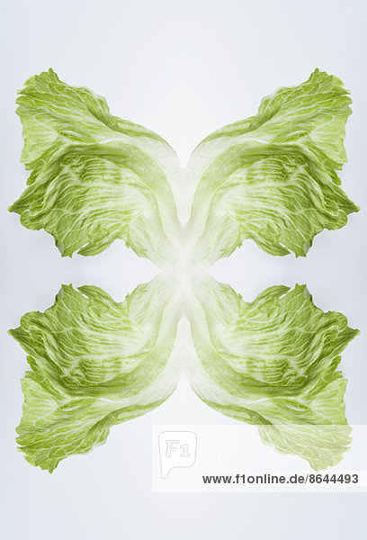 A digital composite of mirrored images of leaves of iceberg lettuce