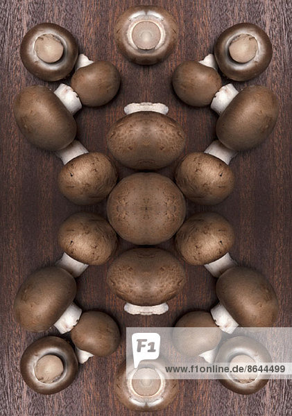Digitaler Verbund von Spiegelbildern einer Pilzanordnung
