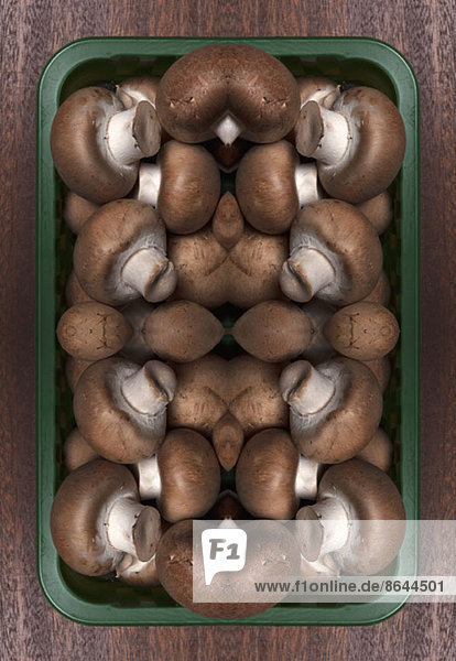 Ein digitaler Verbund von Spiegelbildern eines Pilzkartons