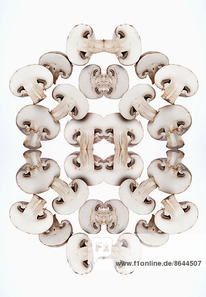 Digitaler Verbund von Spiegelbildern einer Anordnung von Pilzscheiben