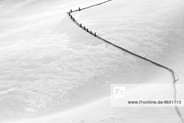 Group of skiers in a row climbing up the road in the snow  Jungfraujoch  Top of Europe  Swiss Alps  Switzerland  canton Bern  Bernese Oberland  Europe