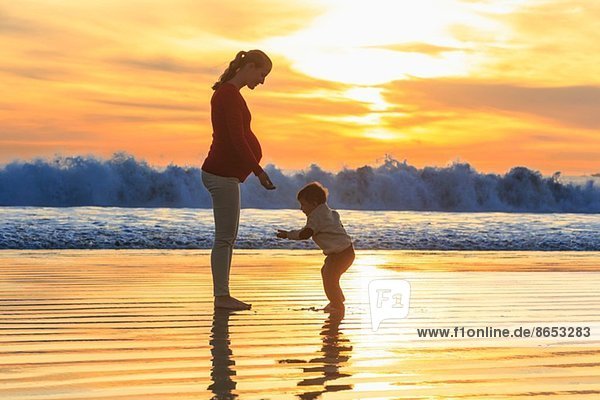 Mutter und Kleinkind spielen am Strand bei Sonnenuntergang  San Diego  Kalifornien  USA