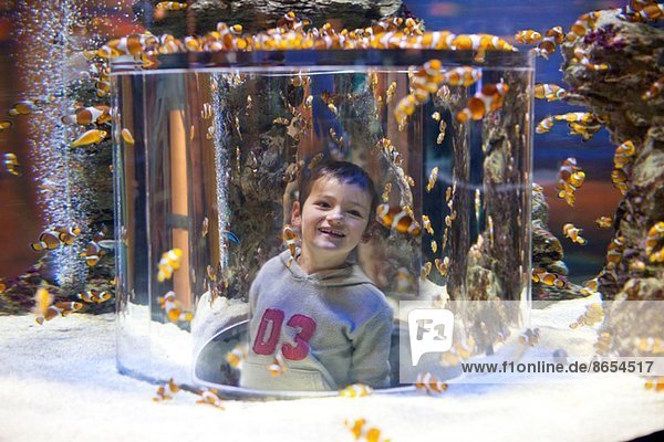 Junge genießt den Blick in ein Aquarium