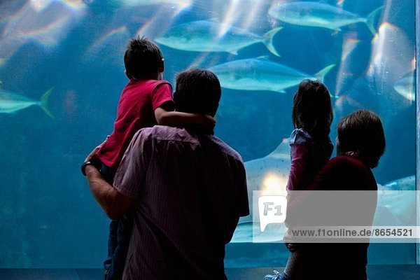 Großeltern und Enkelkinder beim Betrachten von Fischen im Aquarium