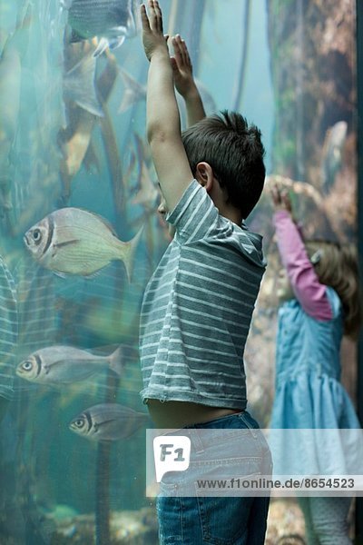 Junge Geschwister beim Anblick tropischer Fische im Aquarium