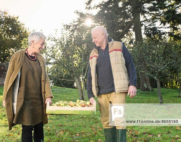 Senior couple carrying crate of apples