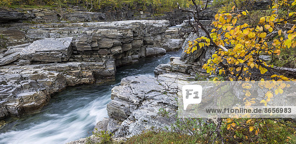 Herbstfarben am Abiskojåkka Fluss  Abisko-Nationalpark  Norrbottens län  Schweden