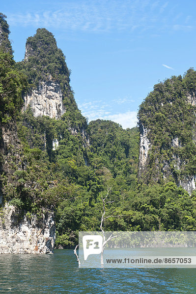 Mit Dschungel und Urwald bewaldete Karst-Berge aus Kalkstein ragen aus dem Wasser  Rachabrapha-Stausee  Chiao-Lan-See  Nationalpark Khao Sok  Provinz Surat Thani  Südthailand  Thailand