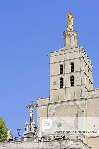 Kathedrale Notre-Dame des Doms und Jesuskreuz  Avignon  Vaucluse  Provence-Alpes-Cote d'Azur  Südfrankreich  Frankreich