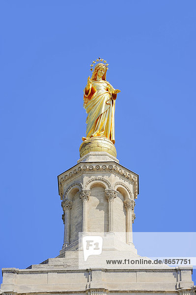 Vergoldete Statue der Jungfrau Maria auf Kathedrale Notre-Dame des Doms  Avignon  Vaucluse  Provence-Alpes-Cote d'Azur  Südfrankreich  Frankreich