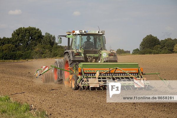 Tractor ploughing a field  Kamen  North Rhine-Westphalia  Germany