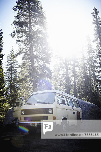 Ein Wohnmobil  ein klassisches Design und ein ikonenhaftes Reisefahrzeug im Yosemite-Nationalpark.