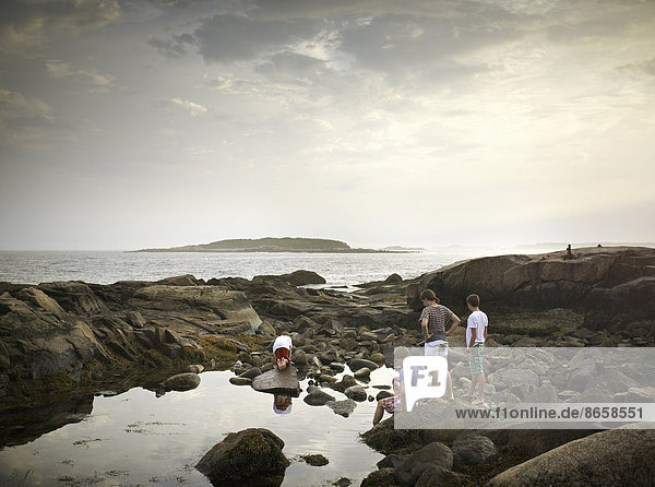 Eine Gruppe von Menschen an der Küste  die sich am Fels sammelt und das Meeresleben erforscht. Blick auf eine vorgelagerte Insel.
