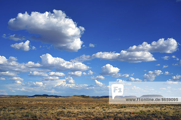 Landschaft in der Halbwüste Karoo  zentrale Hochebene  Highveld  Provinz Nordkap  Südafrika
