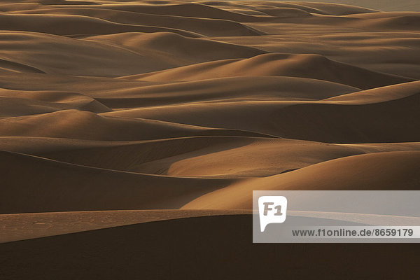 Am späten Nachmittag Licht auf den Sanddünen  die sich in einem bis zu 185 Meilen breiten Streifen über die gesamte Länge der Küste Namibias erstrecken. Die Dünen erreichen manchmal eine Höhe von 1.000 Fuß.