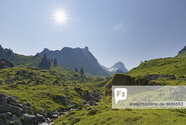Laguz Bach und Rote Wand  von Laguz Alpe  Biosphärenpark Großes Walsertal  Vorarlberg  Österreich