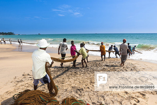 Fischer  Tagelöhner holen ein Netz am Strand ein  bei Kottegoda  Südprovinz  Sri Lanka