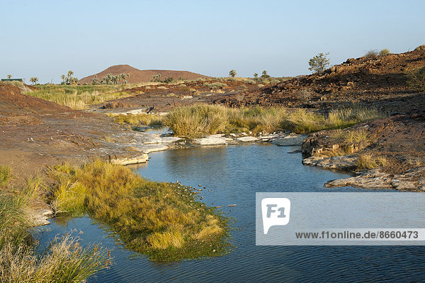 Fresh water spring in a canyon at Palmwag  Kunene Region  Namibia