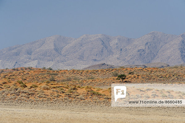 Trockene Landschaft mit Dünen und Bergen  Region Khomas  Namibia
