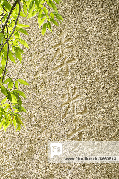 Schriftzeichen  Steingravur unter lichtem Blätterdach im Singheunsa Tempel  Seoraksan-Nationalpark  Sokcho  Südkorea