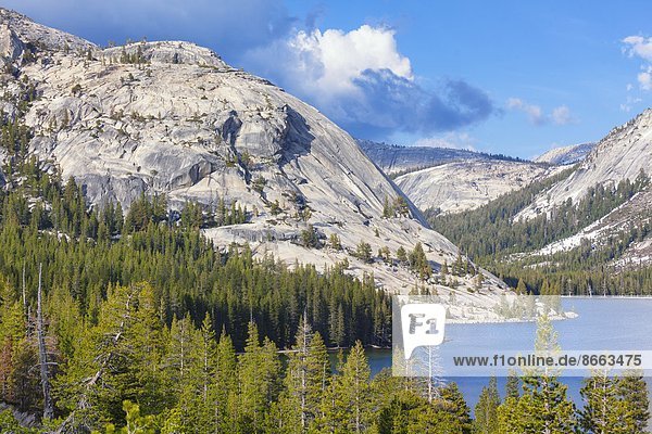 Tenaya Lake Yosemite Nationalpark Kalifornien USA