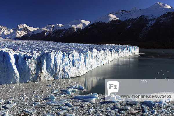 Lago Argentino mit Eisbergen  Perito Moreno Gletscher  Hochanden  bei El Calafate  Patagonien  Argentinien