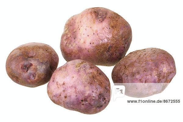Potatoes  Skerry Blue variety