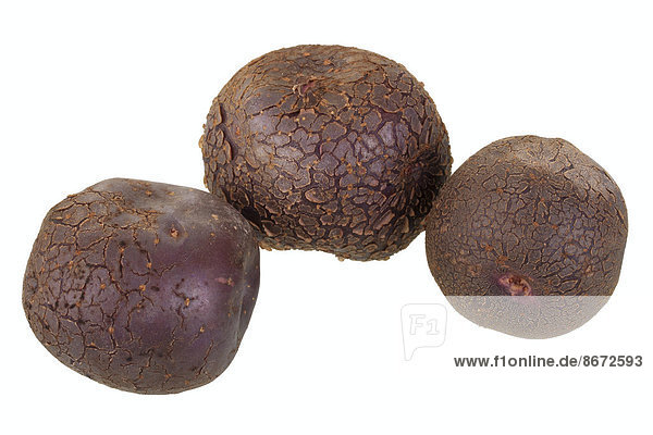 'Potatoes ''Odenwälder Blaue'' variety'