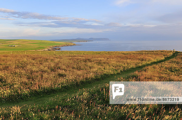 Ausblick auf die Marwick Bay  Marwick Head  Mainland  Orkney  Schottland  Großbritannien