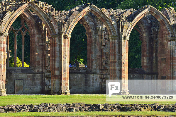 Die Ruine des Zisterzienserklosters Melrose Abbey  12. Jahrhundert  Melrose  Scottish Borders  Schottland  Großbritannien