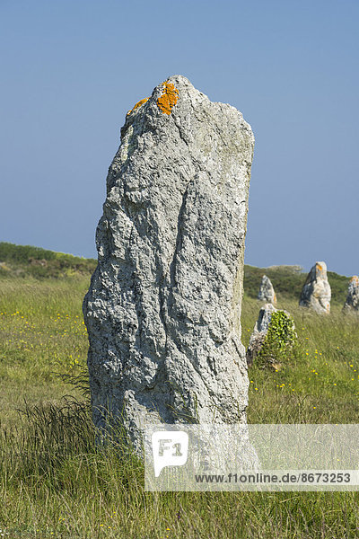 Alignement von Lagatjar  Steinreihen von Lagatjar  bei Camaret-sur-Mer  Département Finistère  Bretagne  Frankreich