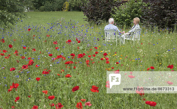 Senior couple sitting on a meadow with blossoming poppies (Papaver rhoeas)  Lower Saxony  Germany
