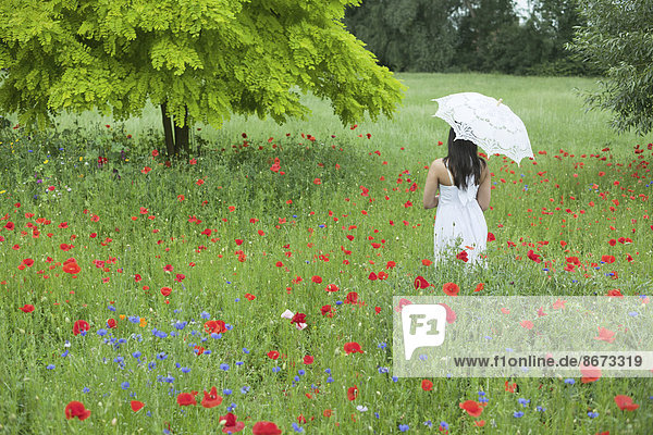 Woman in white summer dress standing on a meadow with blossoming poppies (Papaver rhoeas)  Lower Saxony  Germany